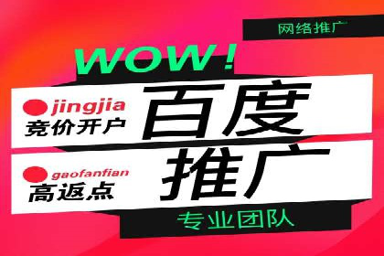 百度推广平台实战技巧：案例解析，提升广告效果